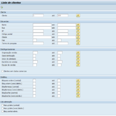 2 maneiras para consultar clientes no SAP